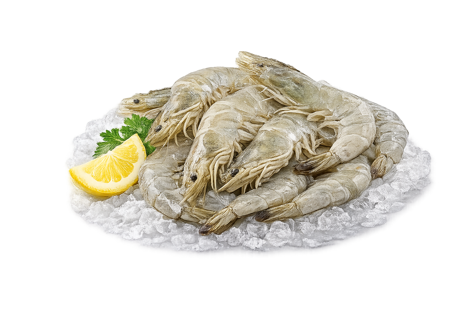 Prawn
